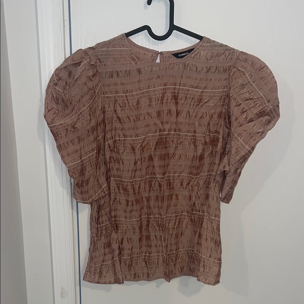 Express Brown Smocked Puff Sleeve Blouse